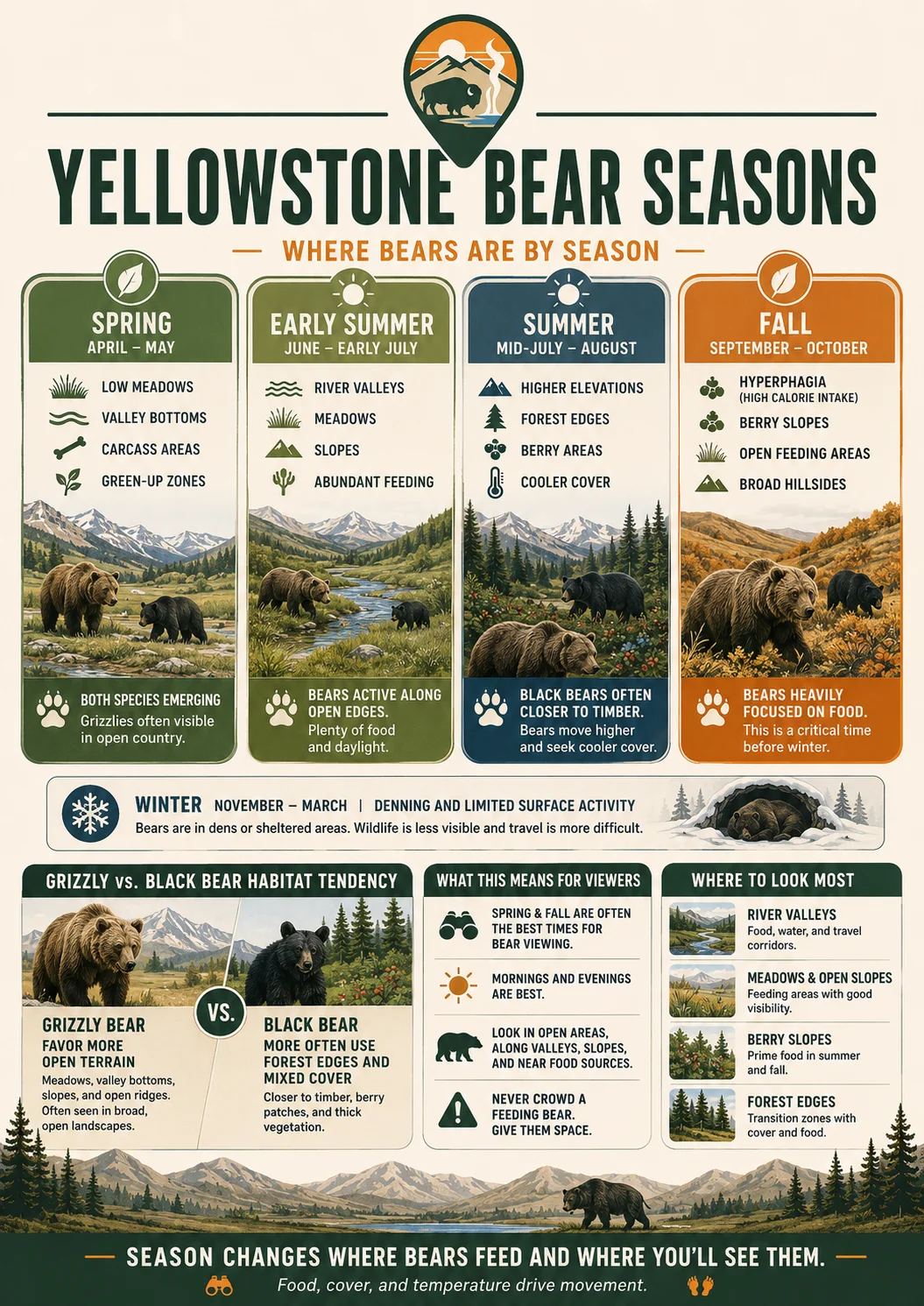 Yellowstone bear seasons guide